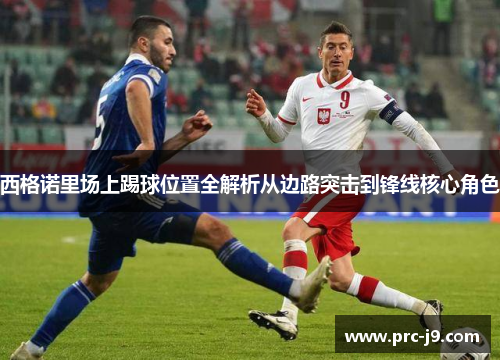 西格诺里场上踢球位置全解析从边路突击到锋线核心角色