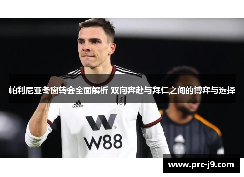 帕利尼亚冬窗转会全面解析 双向奔赴与拜仁之间的博弈与选择