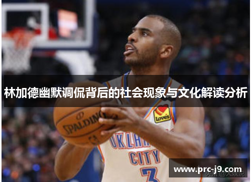 林加德幽默调侃背后的社会现象与文化解读分析