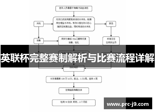 英联杯完整赛制解析与比赛流程详解
