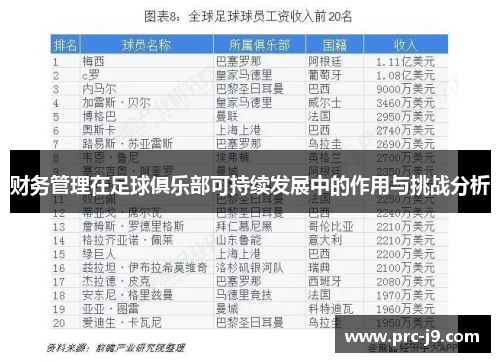 财务管理在足球俱乐部可持续发展中的作用与挑战分析