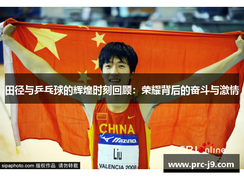 田径与乒乓球的辉煌时刻回顾：荣耀背后的奋斗与激情