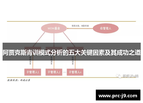 阿贾克斯青训模式分析的五大关键因素及其成功之道