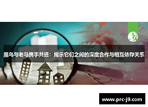 魔鸟与老马携手共进:揭示它们之间的深度合作与相互依存关系 魔鸟与老马携手共进:揭示它们之间的深度合作与相互依存关系