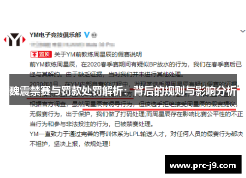 魏震禁赛与罚款处罚解析:背后的规则与影响分析 魏震禁赛与罚款处罚解析:背后的规则与影响分析