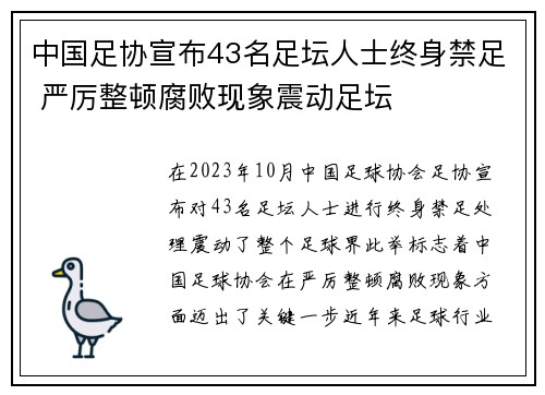 中国足协宣布43名足坛人士终身禁足 严厉整顿腐败现象震动足坛 中国足协宣布43名足坛人士终身禁足 严厉整顿腐败现象震动足坛